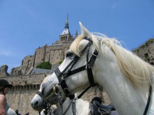  Paseo ecuestre del Mont St Michel 